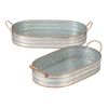 Accent Plus Oblong Galvanized Metal Trays